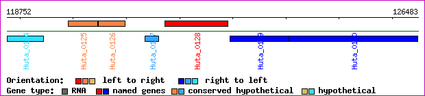 gene map