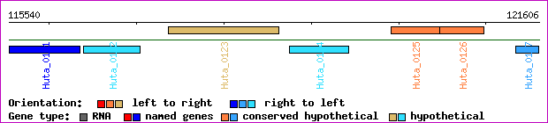 gene map