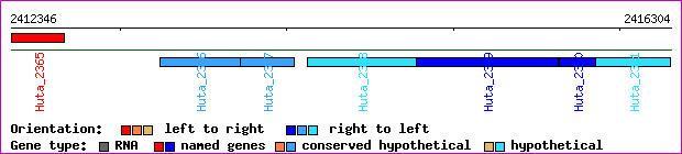 gene map