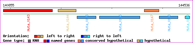 gene map
