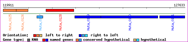 gene map