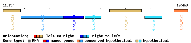 gene map