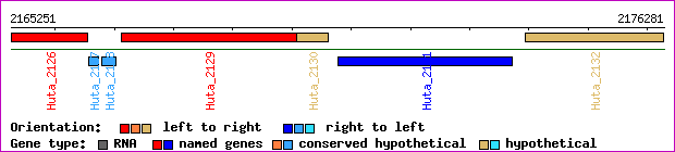 gene map
