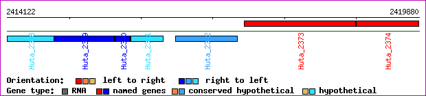 gene map