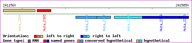 gene map