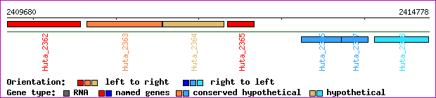 gene map