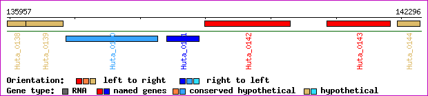 gene map