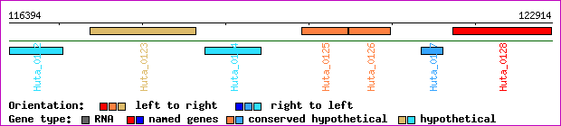 gene map