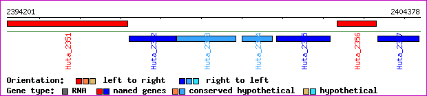 gene map