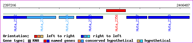 gene map