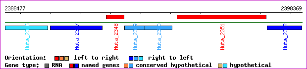 gene map