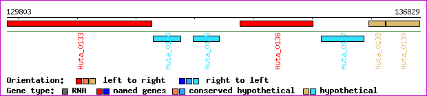 gene map