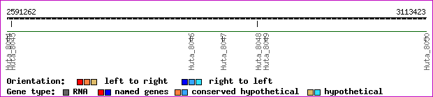 gene map