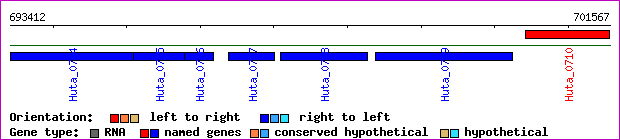 gene map