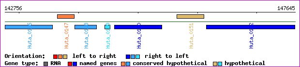 gene map