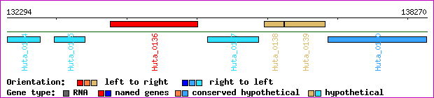gene map