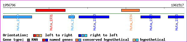 gene map