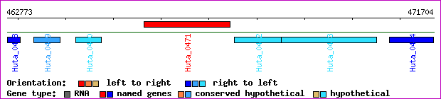 gene map