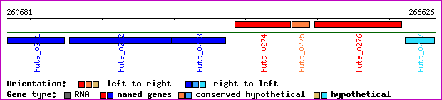 gene map