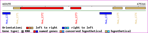 gene map