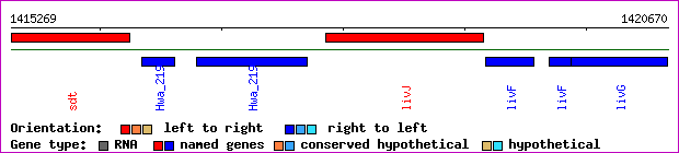 gene map