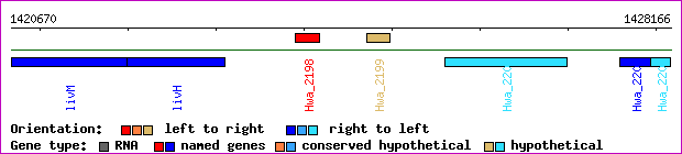 gene map