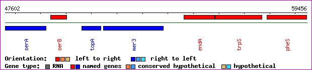 gene map