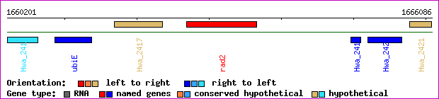 gene map