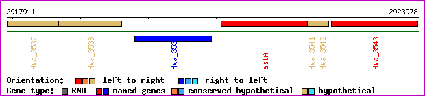 gene map