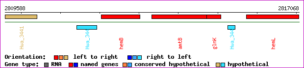 gene map