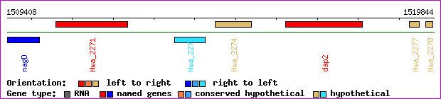 gene map