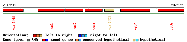 gene map