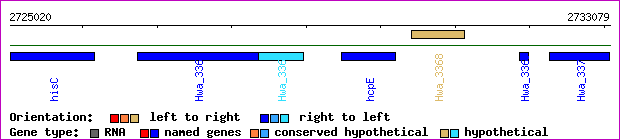 gene map