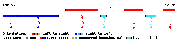 gene map