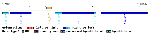 gene map