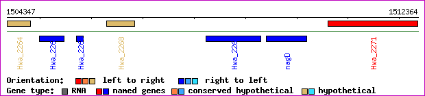 gene map