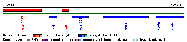 gene map