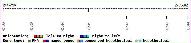 gene map