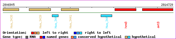 gene map