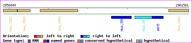 gene map