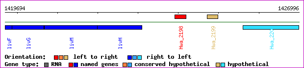 gene map