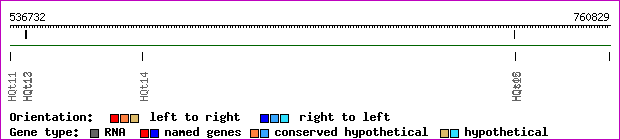 gene map