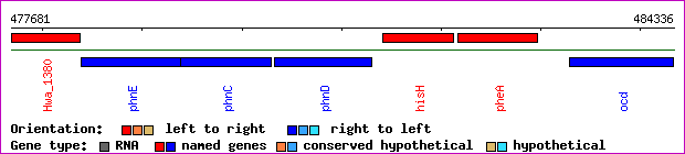 gene map