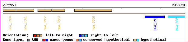 gene map