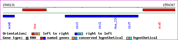 gene map