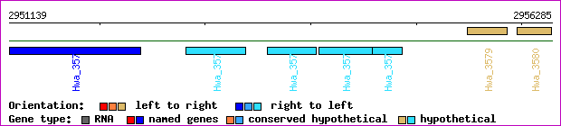 gene map