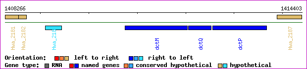 gene map