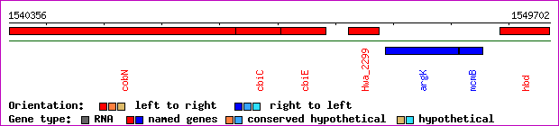 gene map