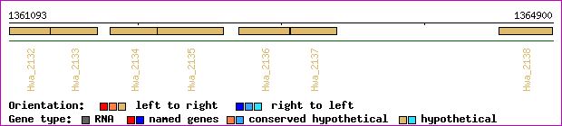 gene map