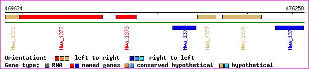 gene map